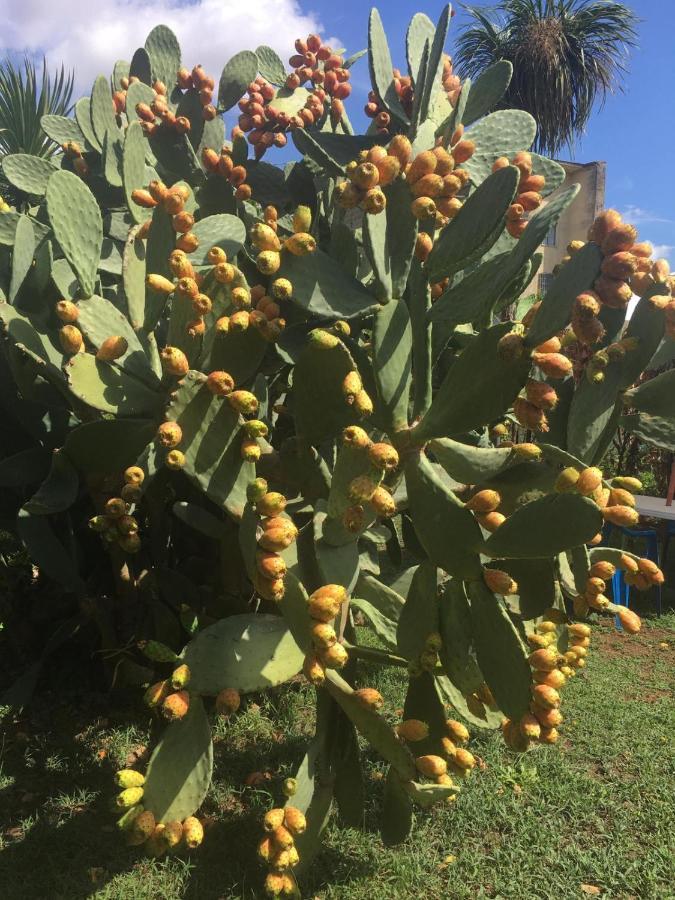 Il Giardino Degli Agrumi كازيرتا المظهر الخارجي الصورة
