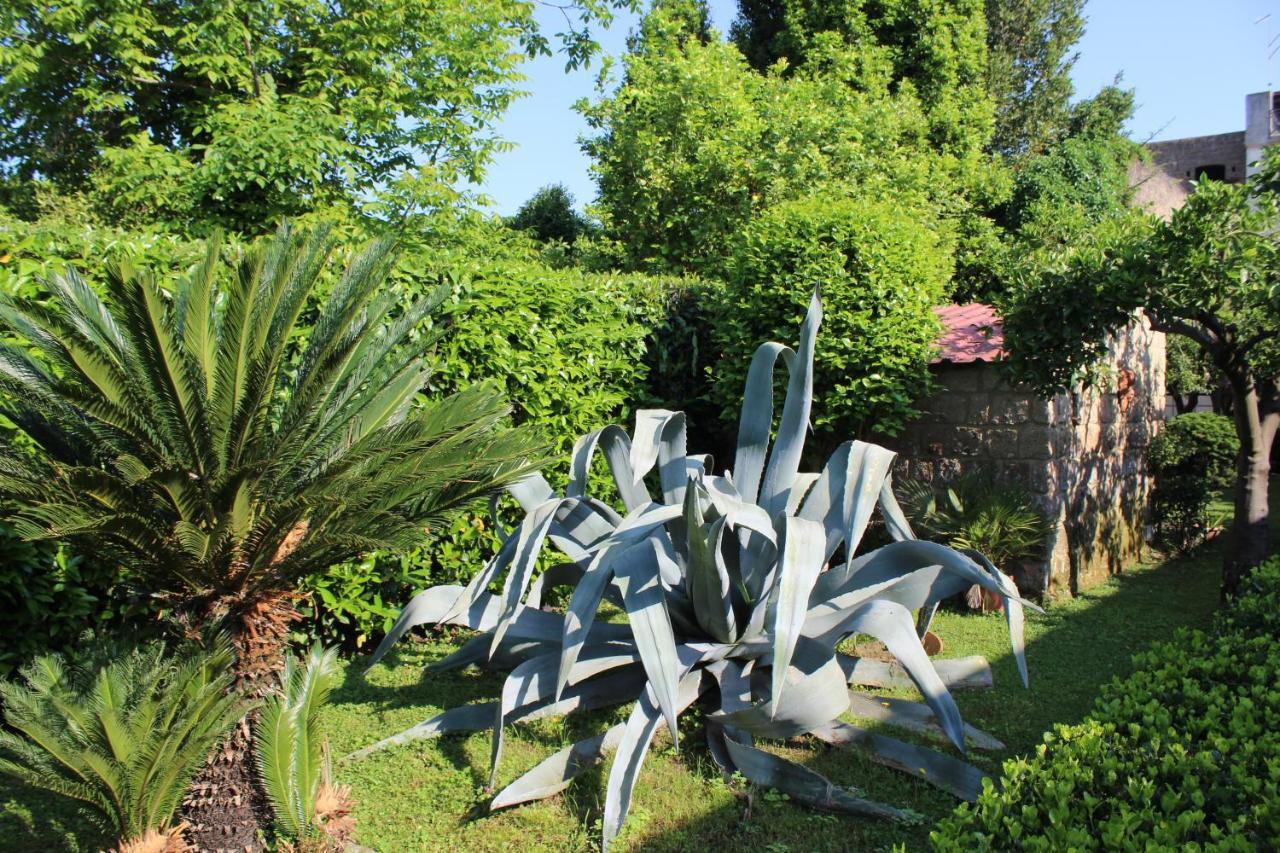 Il Giardino Degli Agrumi كازيرتا المظهر الخارجي الصورة