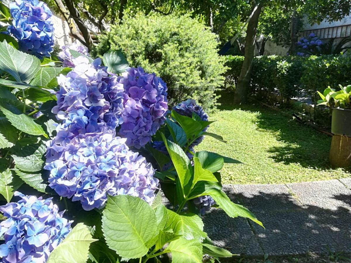 Il Giardino Degli Agrumi كازيرتا المظهر الخارجي الصورة